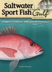 bokomslag Saltwater Sport Fish of the Gulf Field Guide