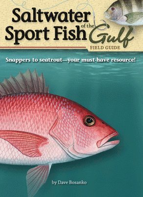 Saltwater Sport Fish of the Gulf Field Guide 1