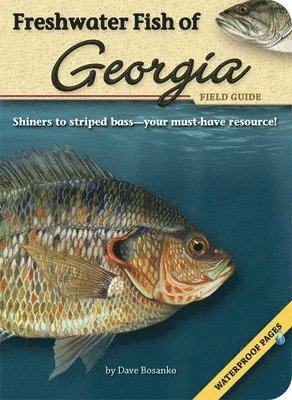 bokomslag Freshwater Fish of Georgia Field Guide