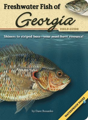 bokomslag Freshwater Fish of Georgia Field Guide