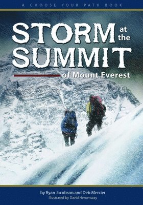 Storm at the Summit of Mount Everest 1