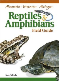 bokomslag Reptiles & Amphibians of Minnesota, Wisconsin and Michigan Field Guide