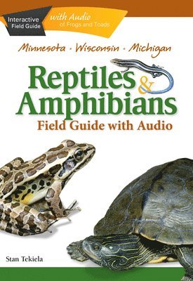 bokomslag Reptiles & Amphibians of Minnesota, Wisconsin and Michigan Field Guide