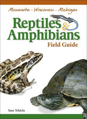 Reptiles & Amphibians of Minnesota, Wisconsin and Michigan Field Guide 1