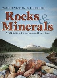 bokomslag Rocks & Minerals of Washington and Oregon