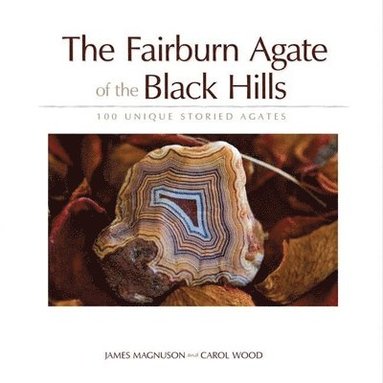 bokomslag The Fairburn Agate of the Black Hills