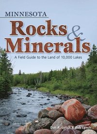 bokomslag Minnesota Rocks & Minerals