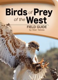 bokomslag Birds of Prey of the West Field Guide