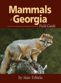 bokomslag Mammals of Georgia Field Guide