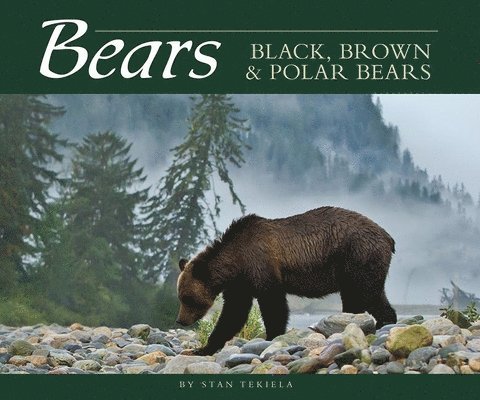 Stan Tekiela - Bears, Häftad
