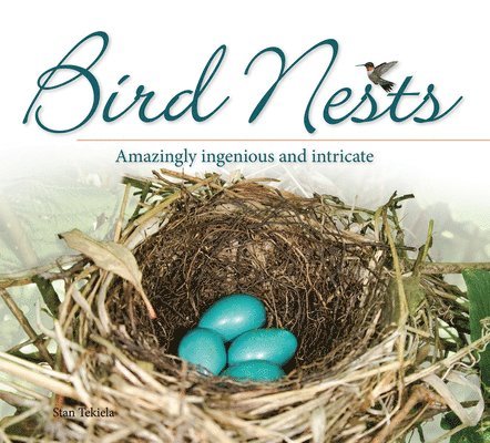 Stan Tekiela - Bird Nests, Häftad