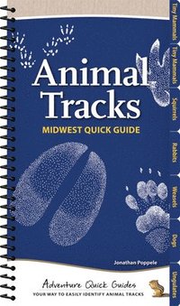 bokomslag Animal Tracks of the Midwest