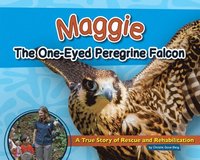 bokomslag Maggie the One-Eyed Peregrine Falcon