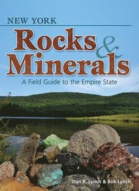 bokomslag New York Rocks & Minerals