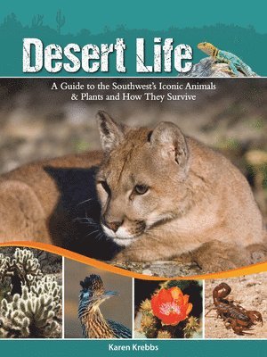 Karen Krebbs - Desert Life, Häftad