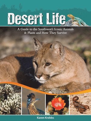 Desert Life 1