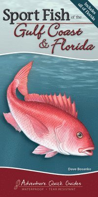 bokomslag Sport Fish of the Gulf Coast & Florida