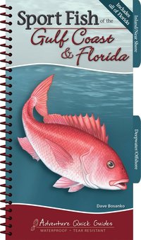 bokomslag Sport Fish of the Gulf Coast & Florida