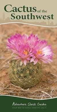 bokomslag Cactus of the Southwest