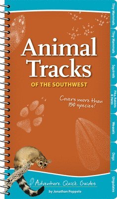 Animal Tracks of the Southwest 1