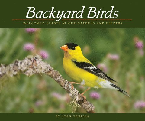 Stan Tekiela - Backyard Birds, Häftad