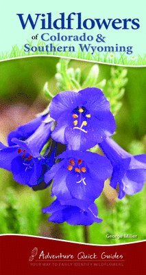 bokomslag Wildflowers of Colorado & Southern Wyoming