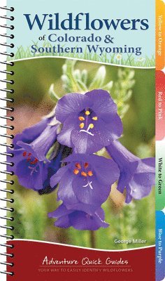 George Oxford Miller - Wildflowers of Colorado & Southern Wyoming, Häftad