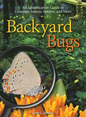 Backyard Bugs 1