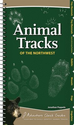 Animal Tracks of the Northwest 1