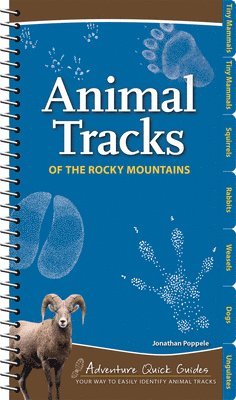 Animal Tracks of the Rocky Mountains 1