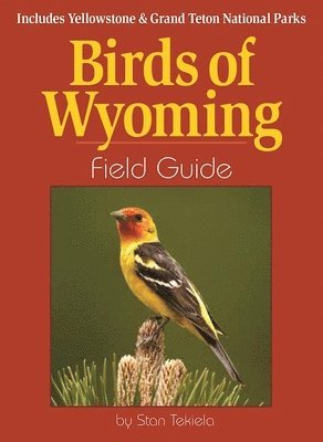 Stan Tekiela - Birds of Wyoming Field Guide, Häftad