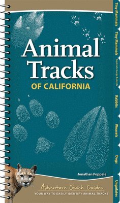 Animal Tracks of California 1