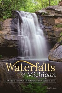 bokomslag Waterfalls of Michigan