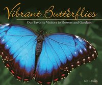 bokomslag Vibrant Butterflies