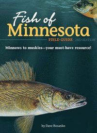 bokomslag Fish of Minnesota Field Guide