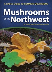 bokomslag Mushrooms of the Northwest