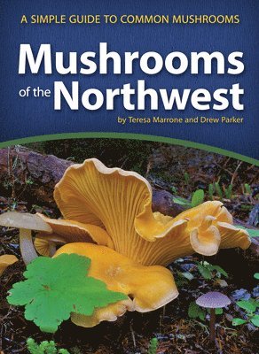 Mushrooms of the Northwest 1