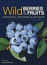 bokomslag Wild Berries & Fruits Field Guide of Minnesota, Wisconsin & Michigan