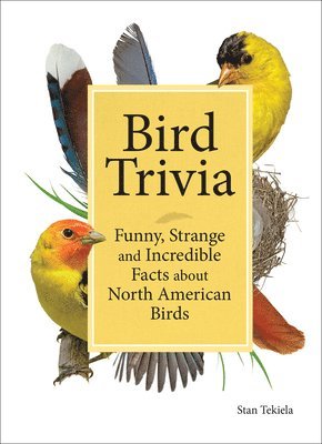bokomslag Bird Trivia