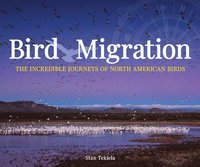 bokomslag Bird Migration