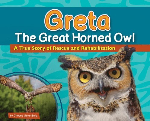 Greta the Great Horned Owl 1