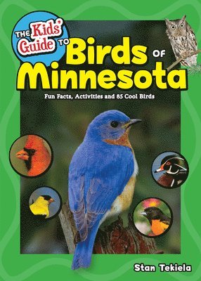 bokomslag Kids' Guide to Birds of Minnesota