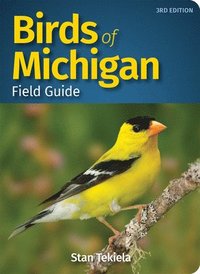 bokomslag Birds of Michigan Field Guide