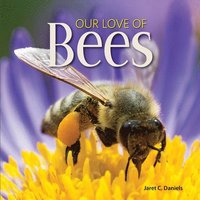 bokomslag Our Love of Bees