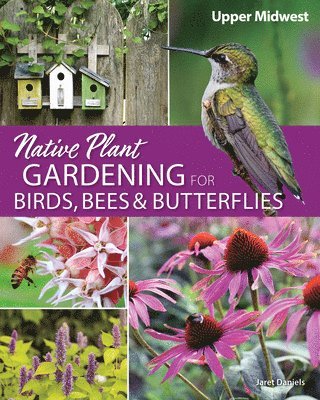 bokomslag Native Plant Gardening for Birds, Bees & Butterflies: Upper Midwest