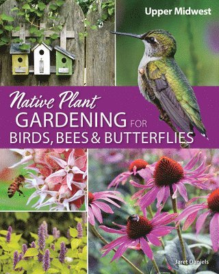 bokomslag Native Plant Gardening for Birds, Bees & Butterflies: Upper Midwest