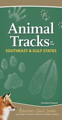 bokomslag Animal Tracks of the Southeast & Gulf States