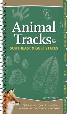 bokomslag Animal Tracks of the Southeast & Gulf States