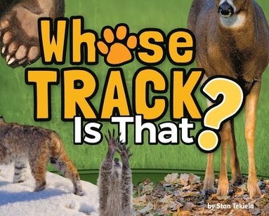 bokomslag Whose Track Is That?
