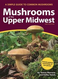 bokomslag Mushrooms of the Upper Midwest